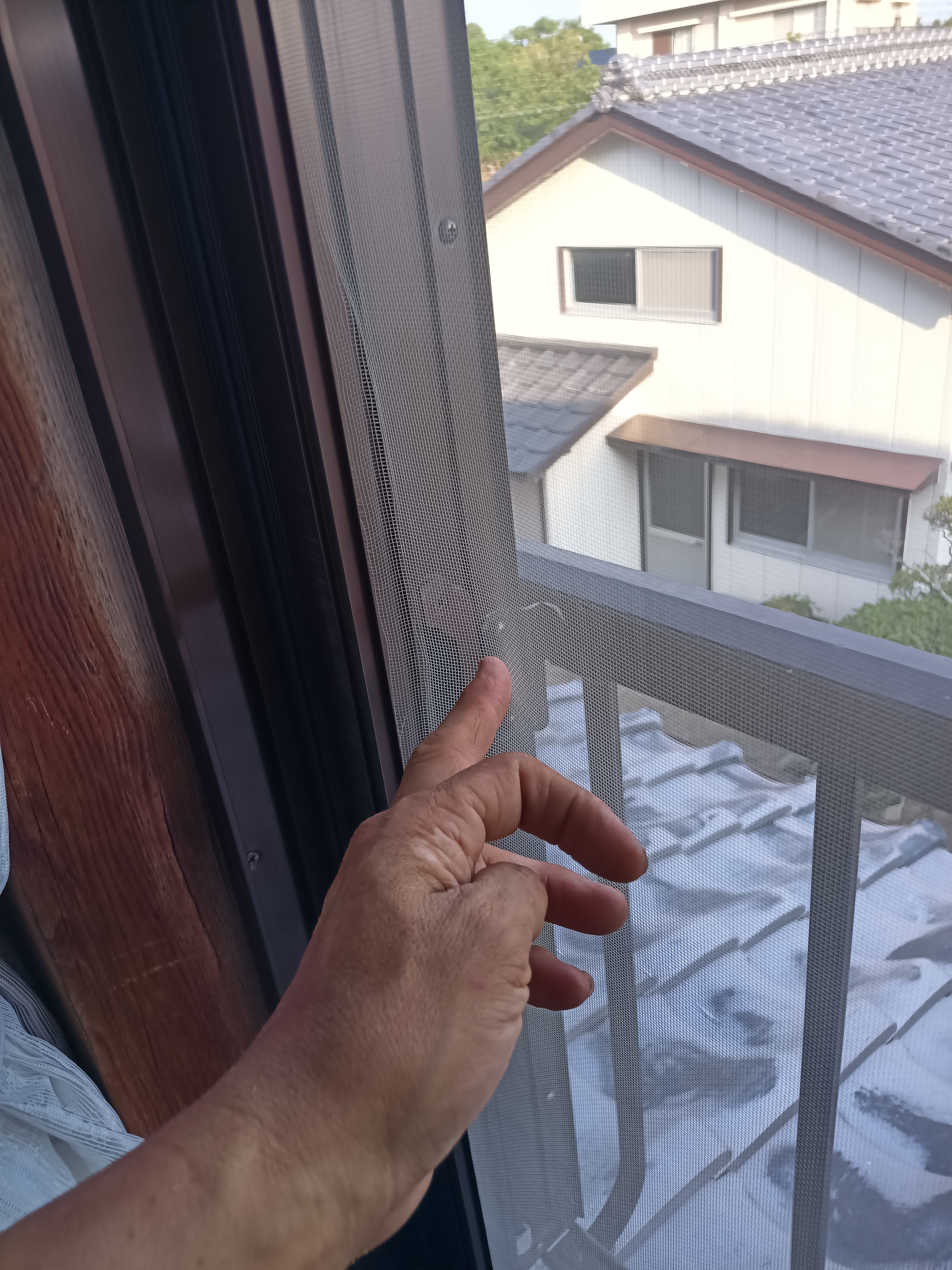 網戸